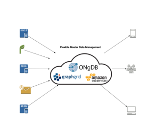 Graph Advantage: Master Data Management article image