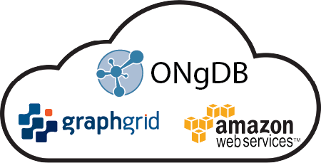 ONgDB Production Ready: Enterprise Cloud article image