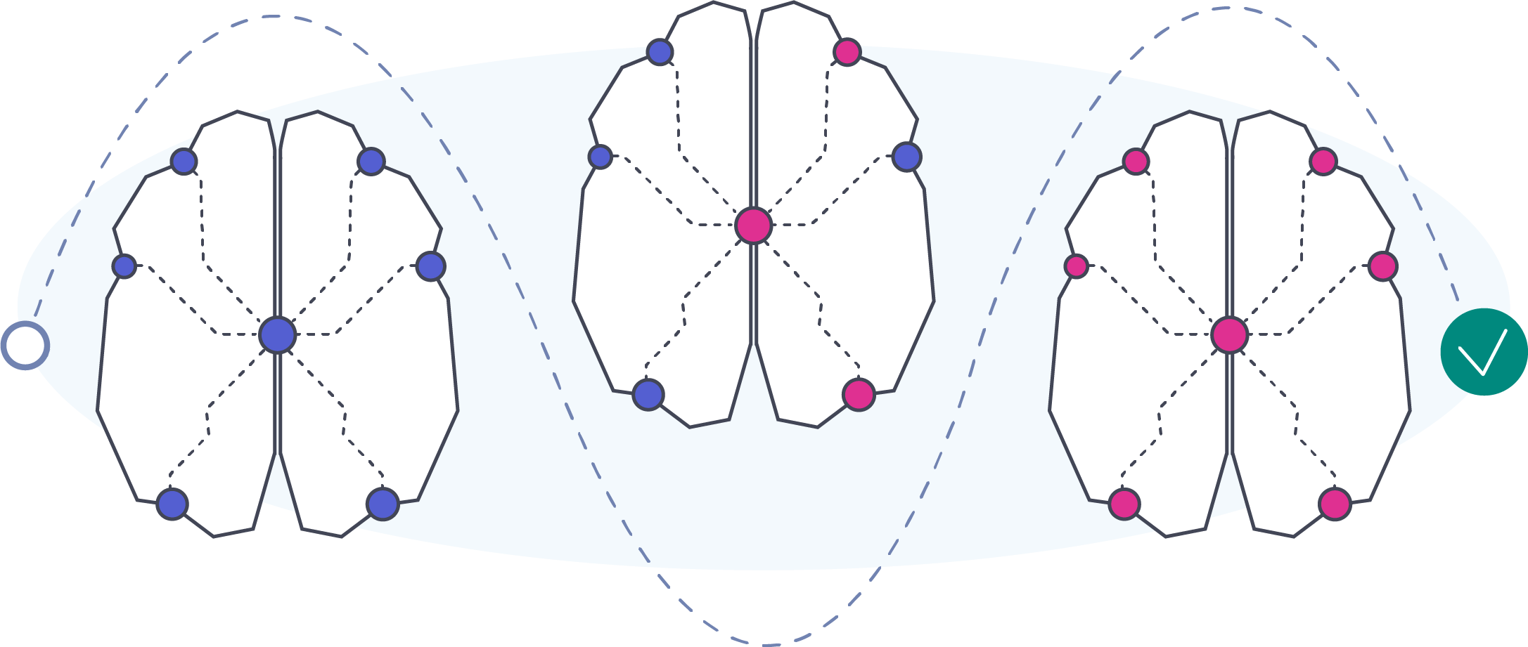illustration for graph and ai not drifting with three top view graph brains the first one with purple nodes the second with purple and red nodes and third one with only red nodes and a check mark to the right